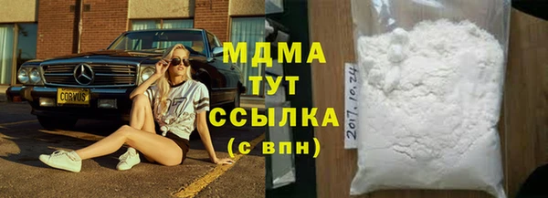 индика Краснослободск