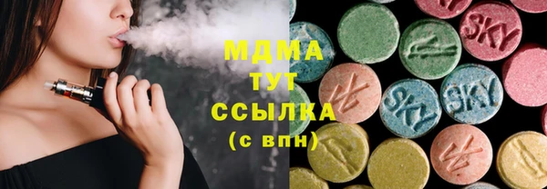 индика Краснослободск