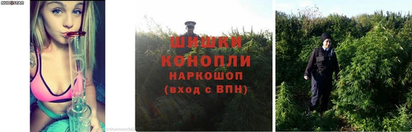 стаф Красноперекопск