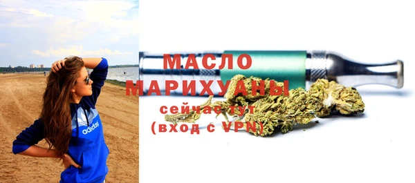 индика Краснослободск