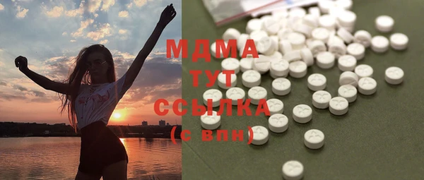 индика Краснослободск