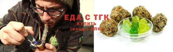 индика Краснослободск
