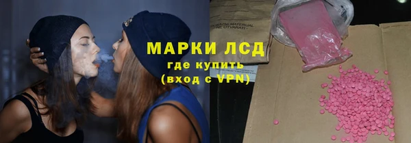 индика Краснослободск