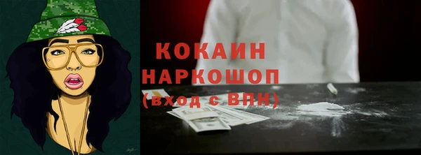 индика Краснослободск