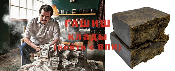 индика Краснослободск