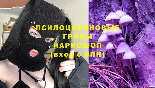 гидропоника Краснотурьинск