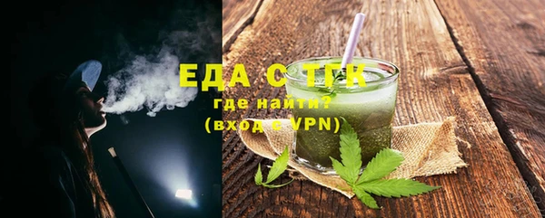 индика Краснослободск