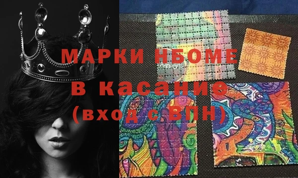 индика Краснослободск