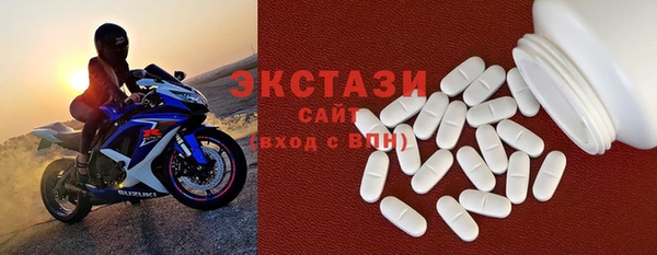 индика Краснослободск