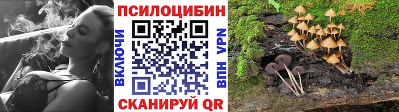 Галлюциногенные грибы мицелий  Купить закладки  Собинка 