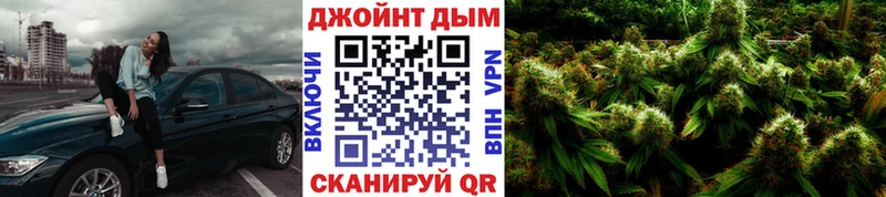 Купить где  Собинка  Канабис сатива 